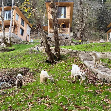 Berona Chalet